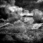 IMG_9723